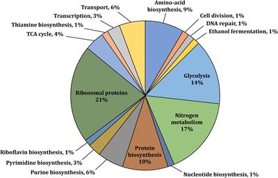 Genome Wide Phosphoproteome Analysis of Zymomonas mobilis Under Anaerobic, Aerobic, and N2-Fixing Conditions